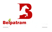 Belpatram Infratech PVT. LTD.